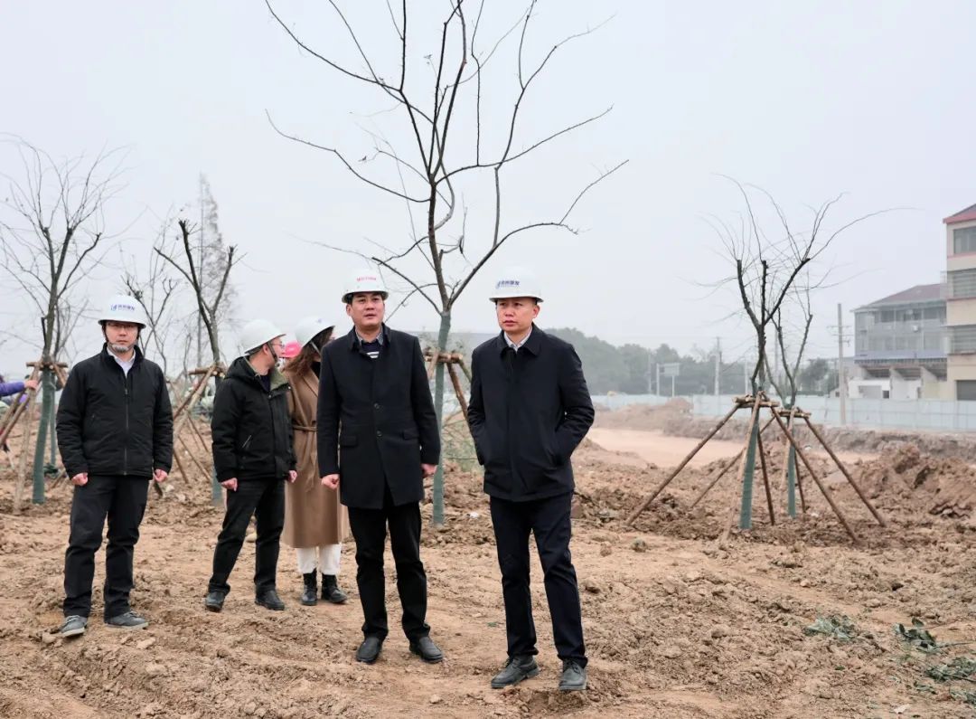 張?jiān)骑w率隊(duì)調(diào)研白云園林公司 聚焦在建項(xiàng)目與樹木種植經(jīng)營，推動(dòng)綠色發(fā)展新篇章